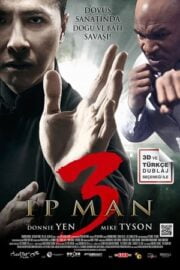 İp Man 3