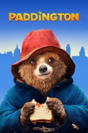 Ayı Paddington 1