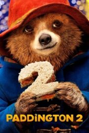 Ayı Paddington 2