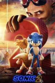 Kirpi Sonic 2